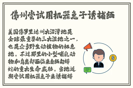 欧美精品在线播放